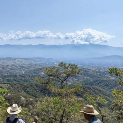 Basurero “ilegal” pone en riesgo la reserva ecológica del Parque Nacional Benito Juárez